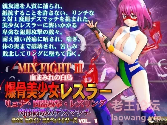 MIX FIGHT Ⅲ 爆骨美少女レスラー1.jpg